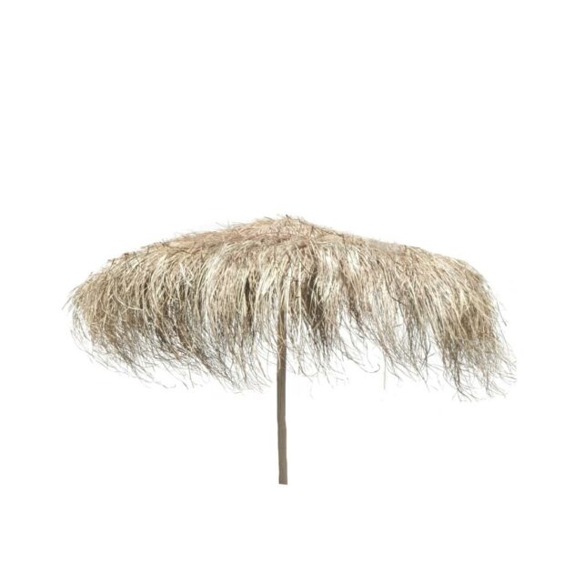 Parasol en feuille de palmier