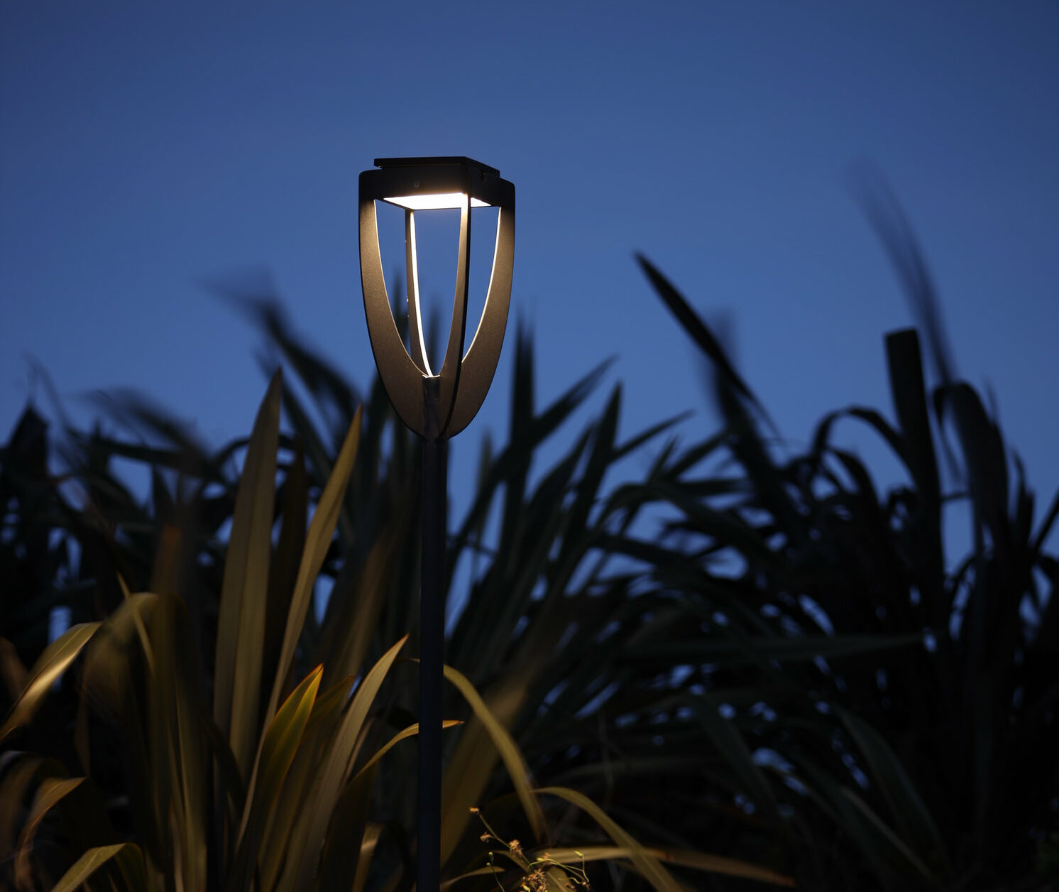 lesjardins-tulip-lampe-torche-noir-lumière